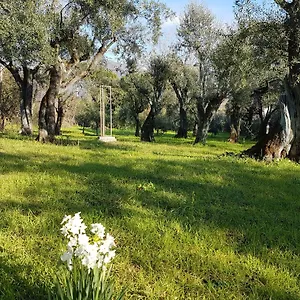  Casa di campagna Antico Uliveto Italia